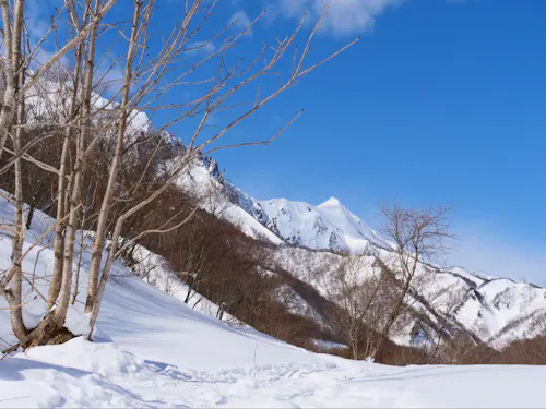 極上の雪質で、冬も豊か！
