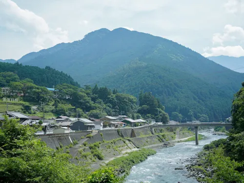 吉野杉・吉野ひのきが一面に植えられた広大な山々が日々見られます。