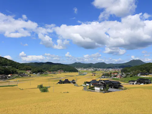 世羅町の田園風景
