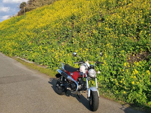愛車の自動2輪が練習できる!と始めた新聞配達(北川さん提供)