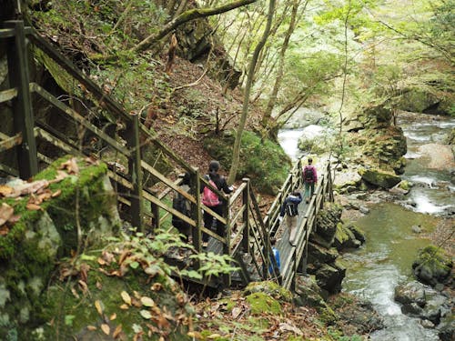 小菅村をガイド中。