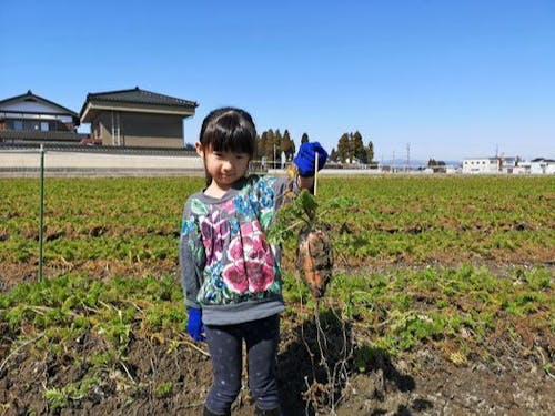 大きなにんじん採れたよ〜♪