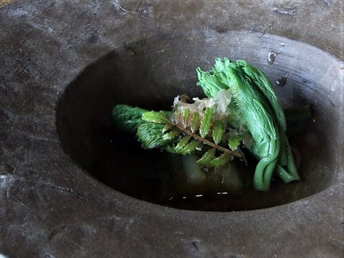 島で採れる山菜で