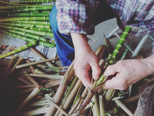 タケノコの皮をむく様子