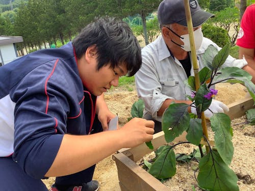 農家さんからご指導いただく農業体験
