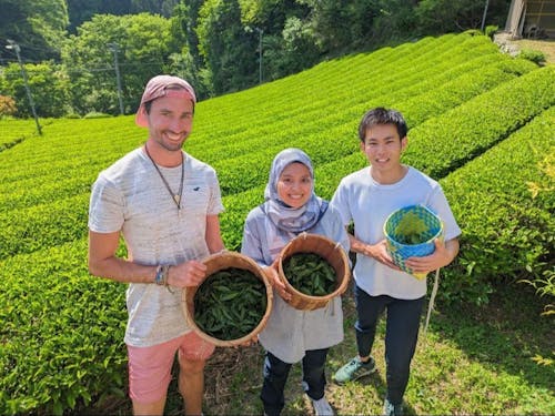 外国の方とお茶摘み体験