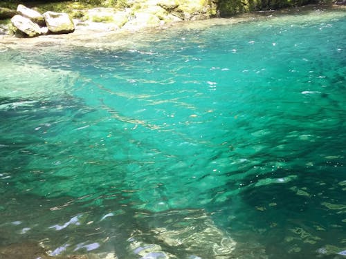 海・川・山がすぐそばにある暮らし(にこ淵)