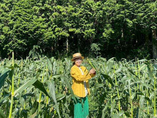 マコモダケ収穫中の麻葉さん