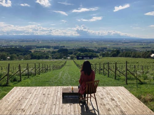 絶景テラス「MAOI SALUD」 町の丘陵地帯からの風景です!