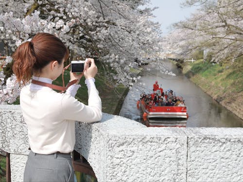 県庁そばの松川