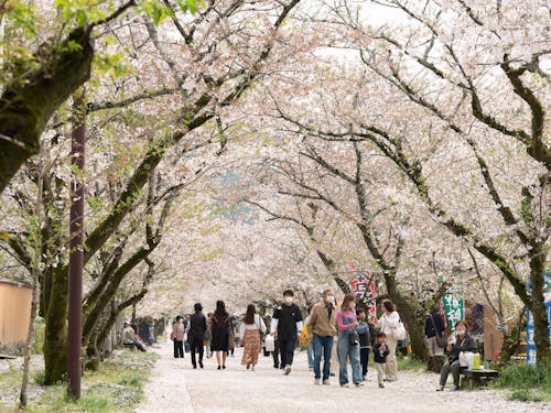 秋月　杉の馬場