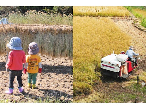 ご家族での体験も、本格的な作業体験も