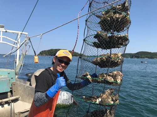 養殖水産物に与えられるASC国際認証を牡蠣で取得しました