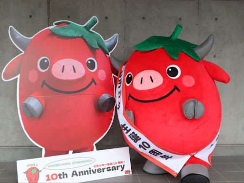 昨年10周年を迎えました!