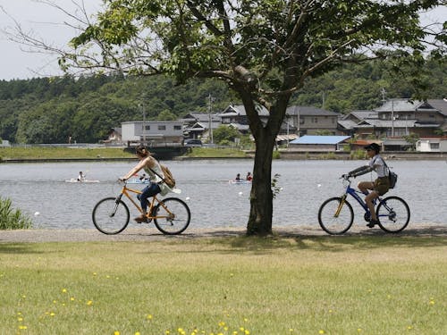 自然堪能コース