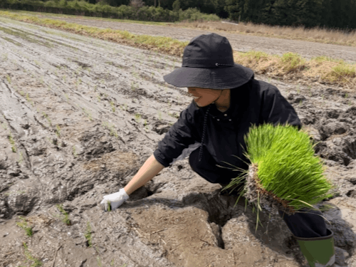 泥んこ田植えたのしい!