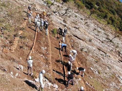 植生復元プロジェクトの様子