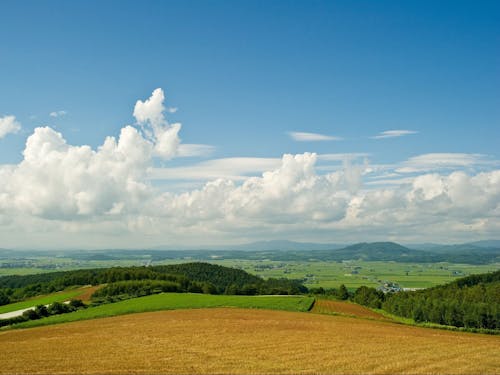 夏の風景