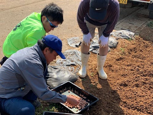 移住後は農業を―そんな方にぴったりの農作業体験もご用意