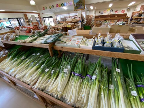 毎日新鮮な野菜が並ぶ