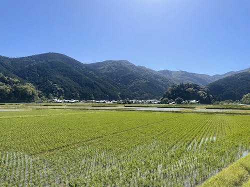 山の景色も魅力的な町