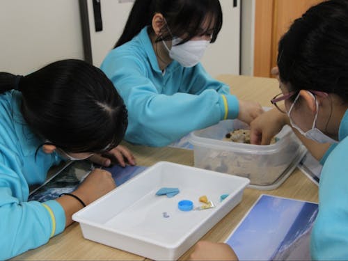 講座プログラムイメージ(マイクロプラスチック探し)