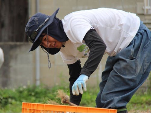 株式会社AgLiBright 藤岡さん