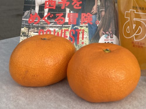 来場者特典(イメージ)