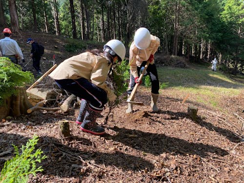 天龍村の山で植林体験