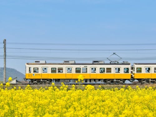四季折々の風景の中を走ることでん