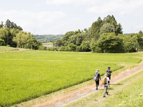 田園風景が広がるトレイルでハイキング