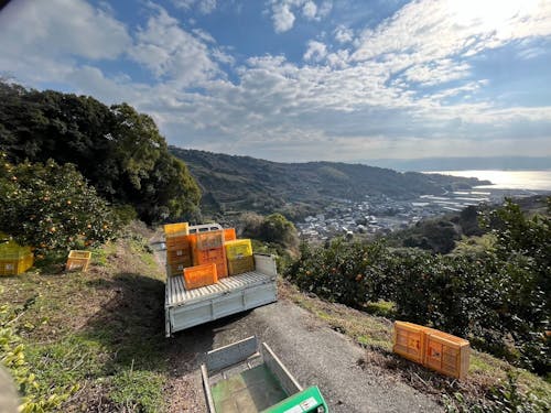 大見地区の景観