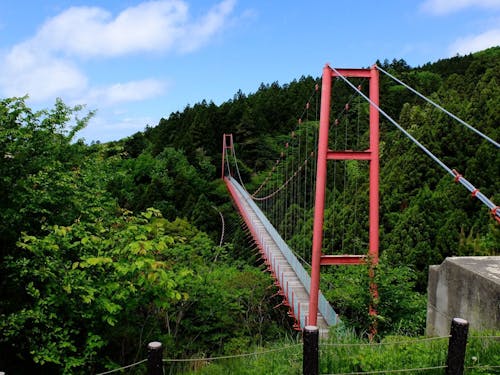 国上山中腹にある千眼堂吊り橋。渡った先は名僧良寛が過ごした「五合庵」があります。