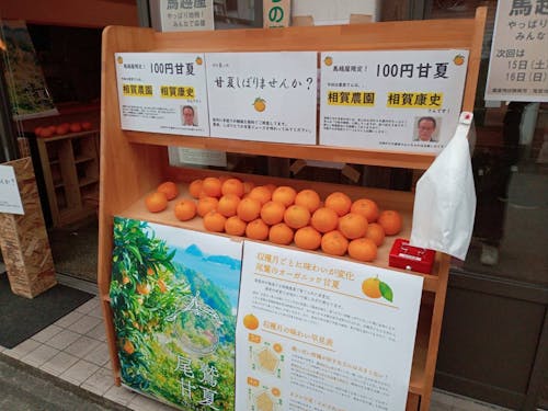 馬越屋での甘夏販売の様子。そのほかにも新鮮な地元の農産品を販売。毎週土日に開催