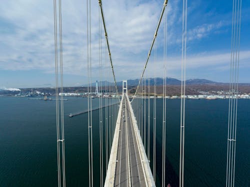 ▲白鳥大橋主塔からの眺め