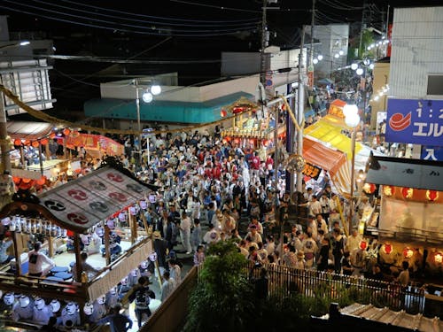 多古祇園祭の様子です！四町の山車や10ｍの柱で行われる「しいかご舞」は圧巻です！