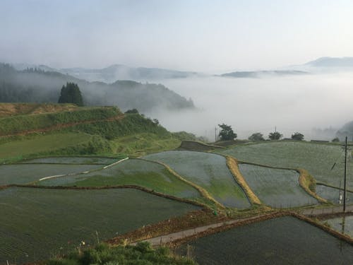 美しい田園風景が広がります♪