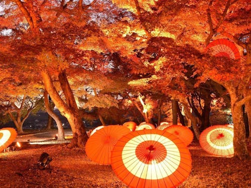 津山城もみじまつり