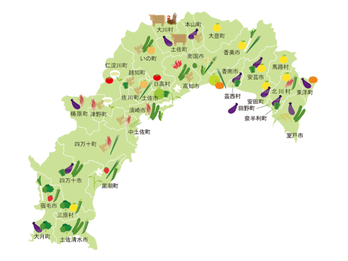 様々な品目が栽培されています!