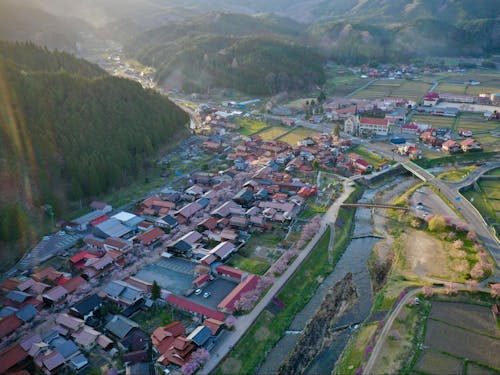 「日本で最も美しい村」新庄村の中心部