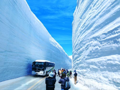 20mの大迫力!雪の大谷