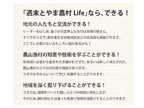 ここがオススメ!