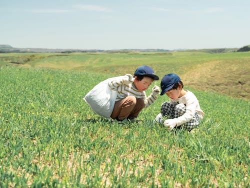 牧野で山菜収穫体験