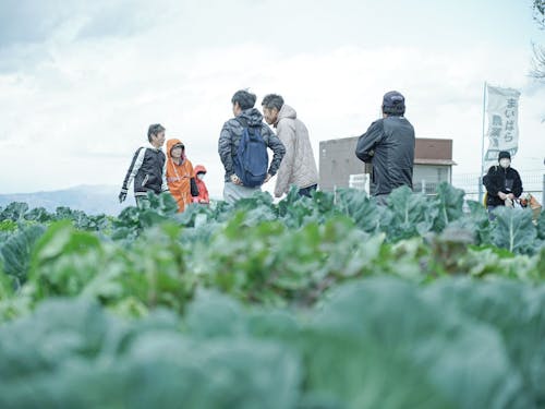 参加者同士の交流