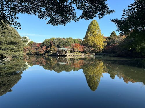 日本100名城のひとつ、高岡城跡(高岡古城公園)