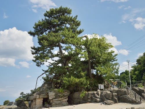 「雨晴」の地名の由来にもなっている「義経岩」