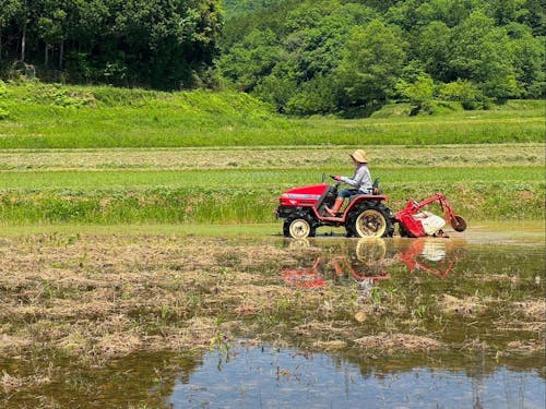 移住者さんで農業をされている方も結構いるんですよ~