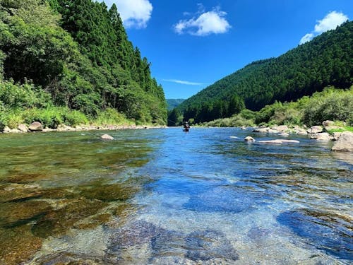 鮎釣りのできる野根川