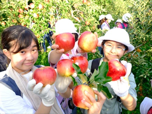 地域交流型研修(農家さんとリンゴ園にて)