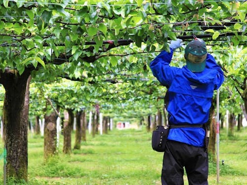 自然の恵みも厳しさも感じながら働く農家。